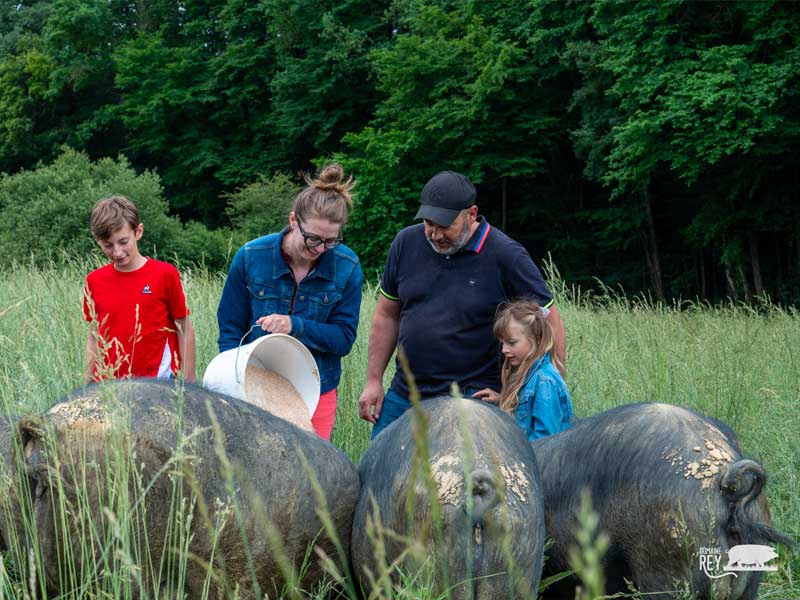 famille-porc-noir-bigorre