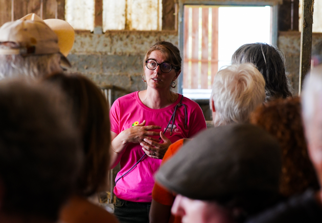 présentation du domaine