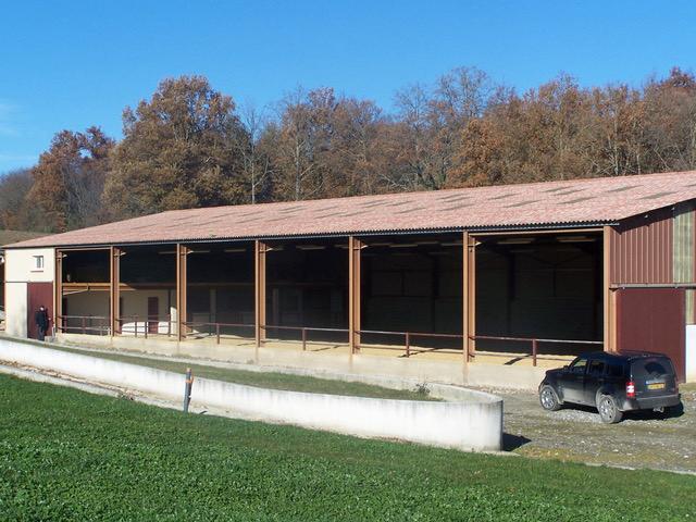 IMG-20251026-WA0003