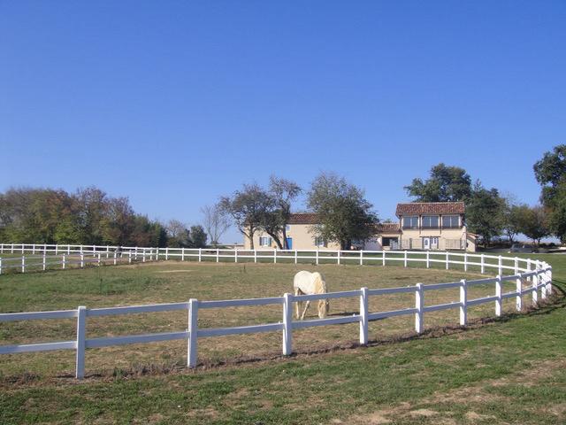 IMG-20251026-WA0007