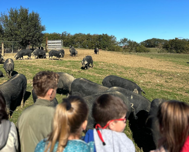Capture d’écran 2026-03-28 180741