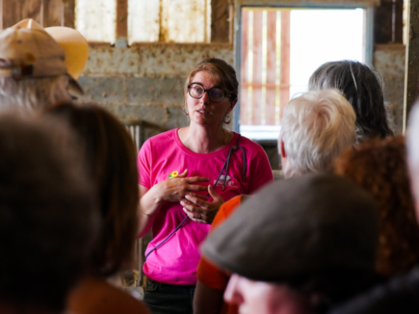 présentation du domaine