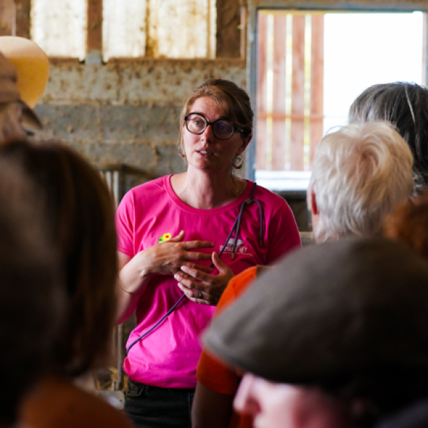 présentation du domaine